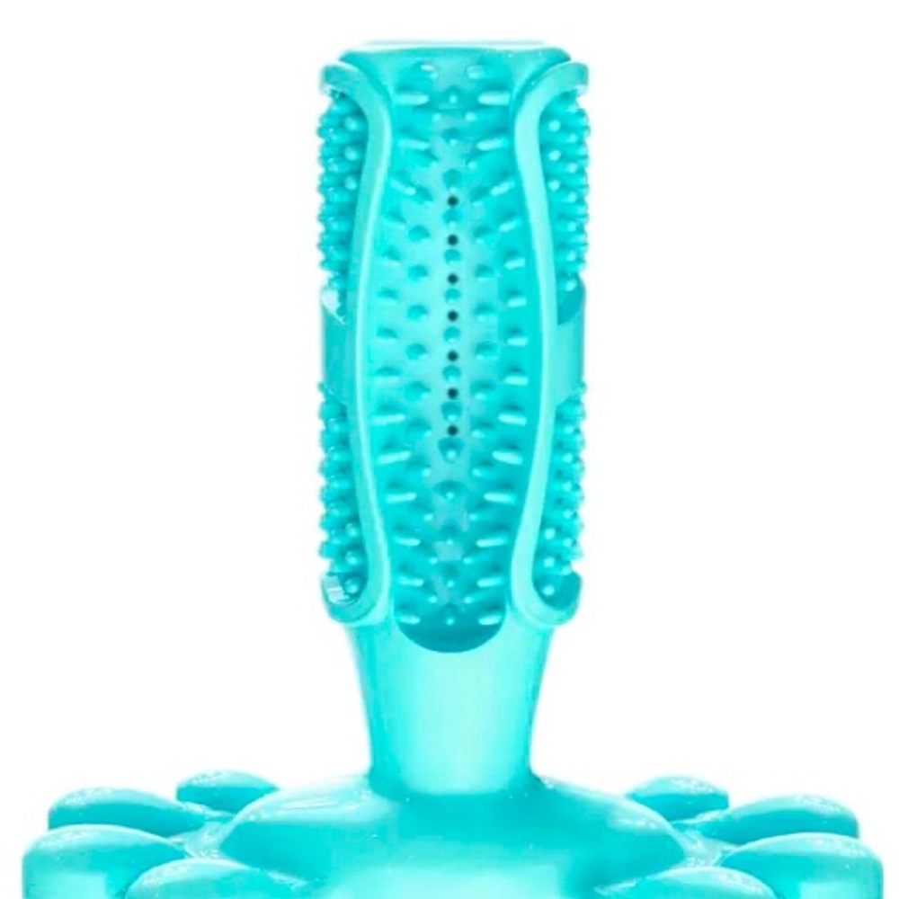 DOG CHEW TOY- HEAVY CHEWER-DENTAL BRUSH